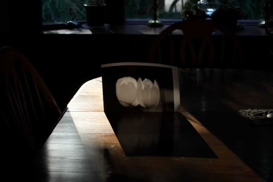 2013 08 11 HTP 01887